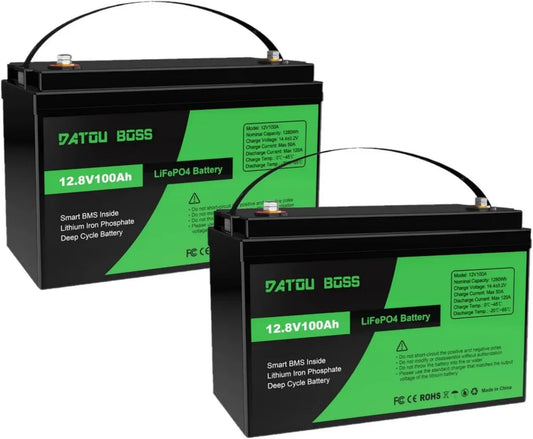 Batteria LiFePO4 12V 100Ah con BMS Integrato per Camper e Solare